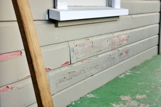 Best Brick Veneer Siding  in USA